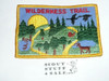 Wilderness Trail, High Adventure Team (HAT) Award Patch