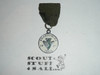 Brandywine Trail 1961, Boy Scout Trail Medal