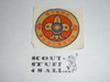 Asian Boy Scout Sticker