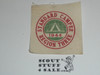 Region 3 1944 Standard Camper Canvas Patch, MINT