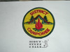 District Camporee Patch, Generic BSA issue, yel twill, grn r/e bdr