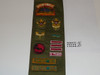1950's Boy Scout Merit Badge Sash with 14 Khaki Crimped Merit badges, Verdugo Hills Council patches and Rank Patches, #FB31