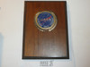 1972 Pepsico NASA Explorer Scout Space Seminar Plaque, RARE