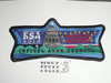 Capitol Area Council s45 CSP BSA 100th Anniversary - Scout