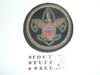 Boy Scout Leader/Professional Blazer Crest Bullion, RARE Prototype varieties, Variety #7
