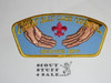 Great Salt Lake Council ta220 CSP - Scout