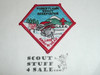 Forest Lawn Scout Reservation, Winter Camp Patch, variety #2, LAAC, 1993