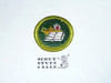 Reading - Type H - Fully Embroidered Plastic Back Merit Badge (1972-2002), litely used