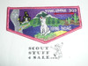 Order of the Arrow Lodge #303 Yowlumne s35 1996 NOAC Flap Patch