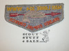Order of the Arrow Lodge #354 Mayi f2a Flap Patch