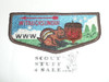 Order of the Arrow Lodge #431 Witauchsundin s2 Flap Patch
