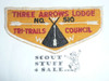 Order of the Arrow Lodge #510 Three Arrows f1a First Flap Patch, lite use