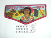 Order of the Arrow Lodge #564 Osceola s6 Flap Patch