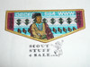 Order of the Arrow Lodge #564 Osceola 1999 SR-4 Host Flap Patch