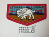 Order of the Arrow Lodge #488 Ta Tanka c2 Chenille Flap Patch