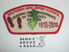 Southern New Jersey Council ta64 CSP - 100th BSA Anniversary