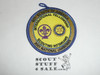 2001 National Jamboree Rotarians Patch