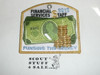National Order of the Arrow Conference (NOAC), 2012 Financial Services Staff Patch, mylar bdr