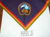 1991 Boy Scout World Jamboree Official Youth Neckerchief