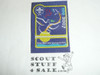 2007 Boy Scout World Jamboree Woven Patch, German