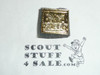 Boy Scout BSA 100th Anniversary Pin