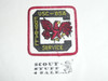 University of South Carolina Football, BSA Explorer Usher Service Patch