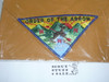 Order of the Arrow Lodge #386 Tuckahoe P3 Pie on Neckerchief - Boy Scout