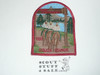 Camp Chawanakee Patch, Sequoia Council, 1993