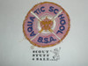 Boy Scouts of America Aquatic School Jacket Patch, used