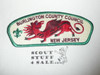 Burlington County Council s13 CSP - Scout