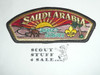 Direct Service Council SAUDI ARABIA s9 CSP - Scout