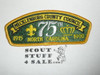 Mecklenburg County Council s5 CSP - Scout