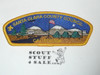 Santa Clara County Council s50 CSP - Scout