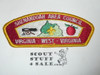 Shenandoah Area Council s13 CSP - Scout