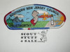Southern New Jersey Council sa11 CSP - Scout