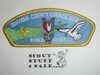 Suffolk County Council sa15b CSP - Eagle Scout