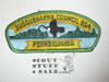 Susquehanna Council s6 CSP - Scout