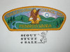 Susquehanna Council s12 CSP - Scout