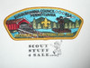 Susquehanna Council sa32 CSP - BSA 100th Anniversary