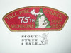 Tall Pine Council su-a CSP - BSA 75th Anniversary