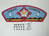 Yucca Council s6 CSP Scout