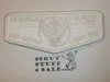 Order of the Arrow Lodge #195 Tah Heetch s3 Flap Patch