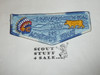 Order of the Arrow Lodge #282 Achewon Nimat s25 1996 NOAC Flap Patch
