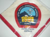 1991 Boy Scout World Jamboree USA/BSA Contingent Neckerchief