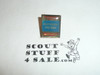 1993 National Jamboree Subcamp 19, Southern Region Pin