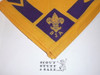 BSA National Supply Troop Neckerchief, Triangle, Gold/Navy