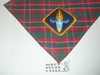 BSA National Supply Webelos Cub Scout Neckerchief