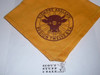 Region 12 Gold Neckerchief - Boy Scout