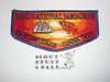 Order of the Arrow Lodge #10 Tschitani s12 2001 National Jamboree Flap Patch - Boy Scout