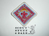 1959 World Boy Scout Jamboree Patch, Trader Bill #2